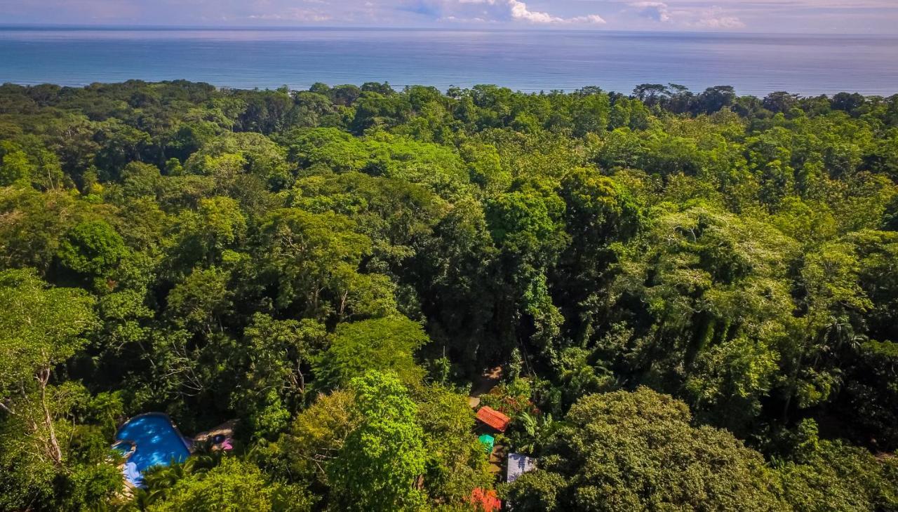 The Goddess Garden Eco-Resort Cahuita Exteriér fotografie