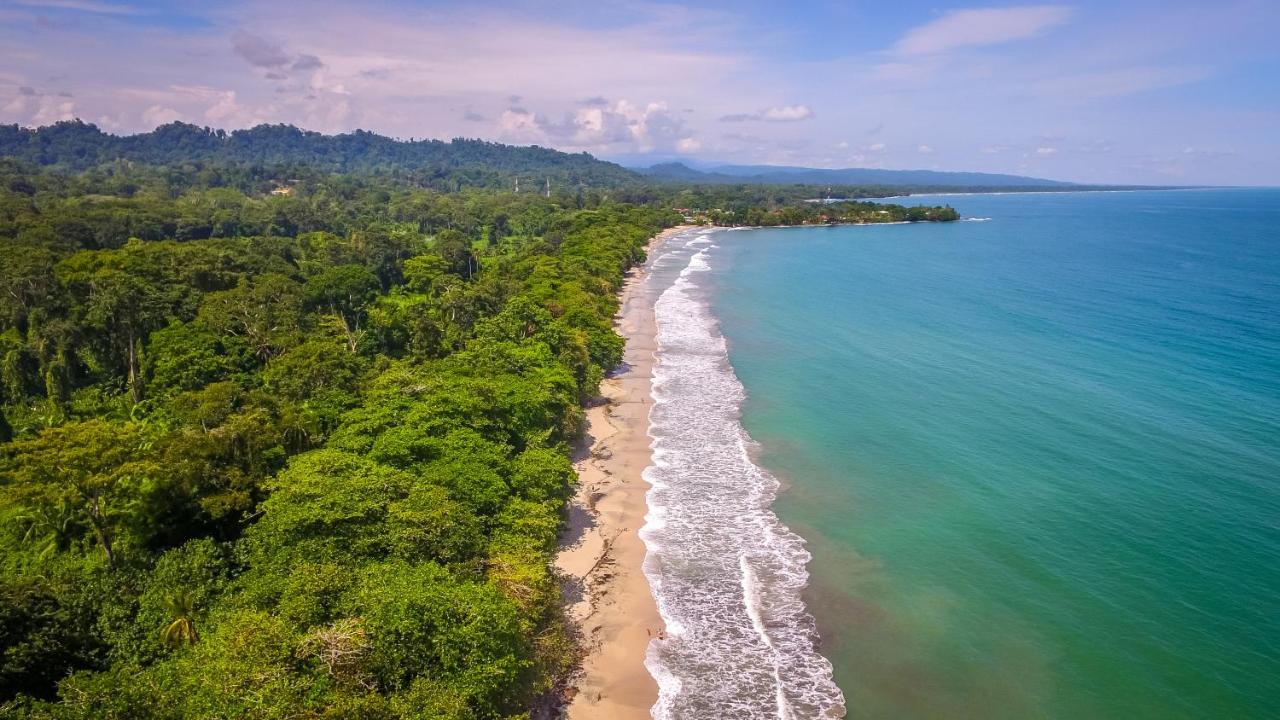 The Goddess Garden Eco-Resort Cahuita Exteriér fotografie