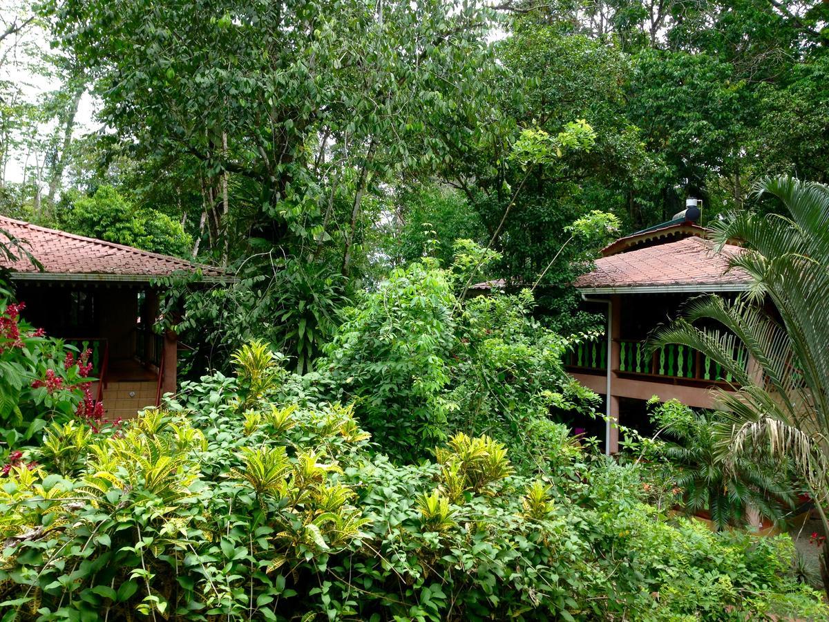 The Goddess Garden Eco-Resort Cahuita Exteriér fotografie