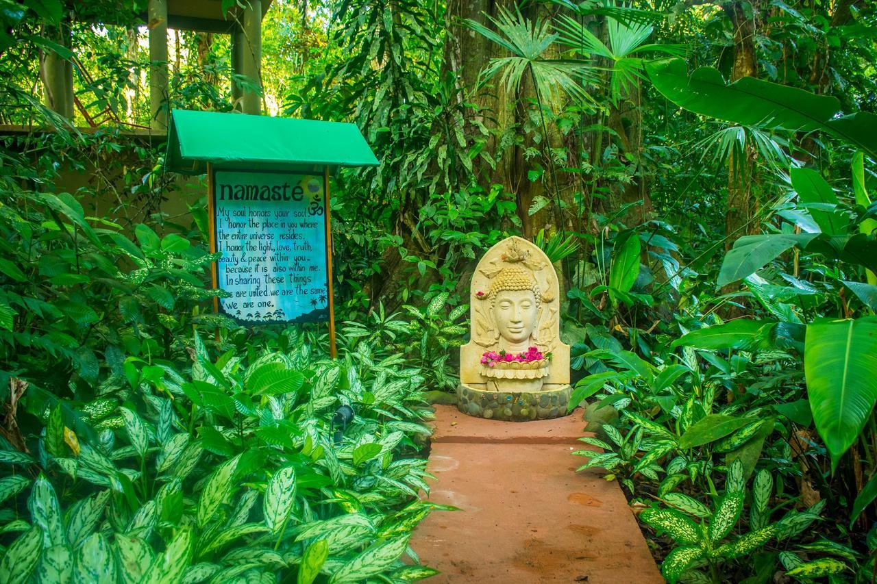 The Goddess Garden Eco-Resort Cahuita Exteriér fotografie