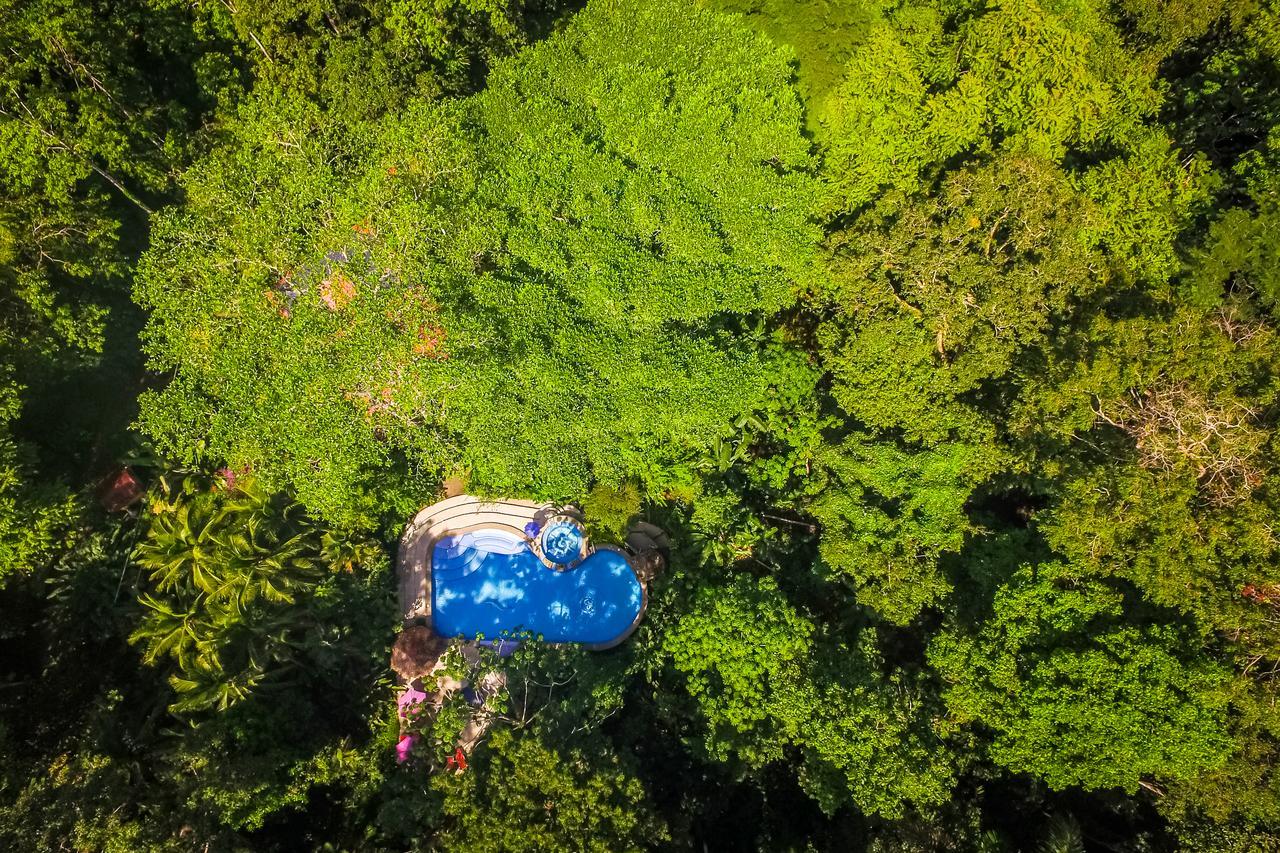 The Goddess Garden Eco-Resort Cahuita Exteriér fotografie